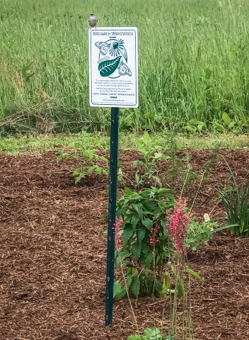 Bird on sign